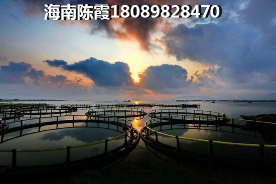 中南.新城樾府 景观园林 